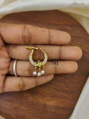 Nose Ring AJPIPN03234
