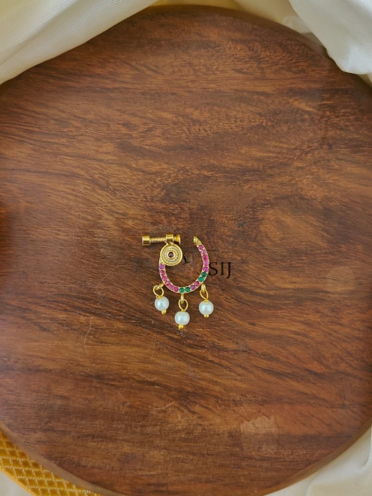 Nose Ring AJPIPN03259