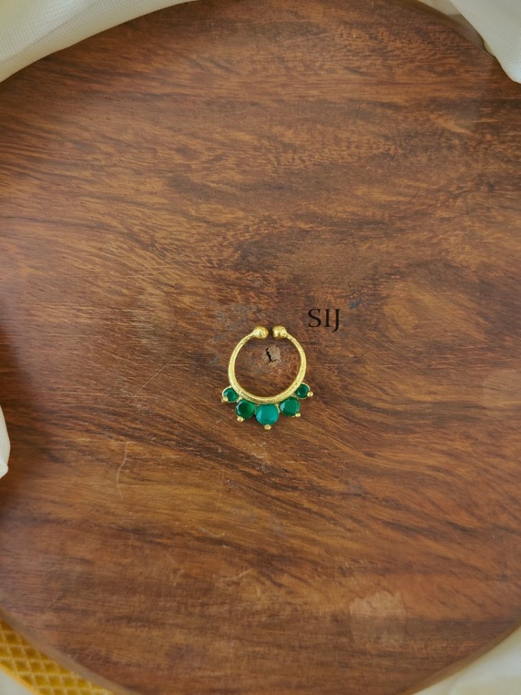 Nose Ring AJPIPN03281