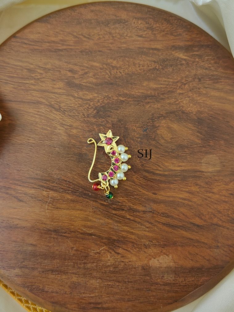 Nose Ring AJPIPN03244