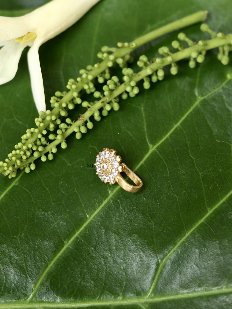 White Stones Nose Pin ACCIPN02379