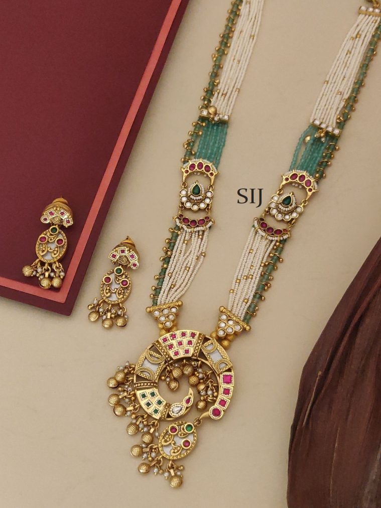 Beaded Long Necklace ABDIL02174