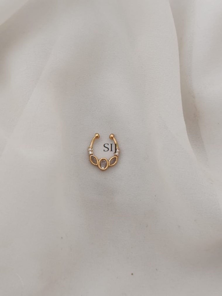 Septum Nose Ring ARJIPN02699